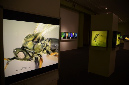 Wasp_exhibition__DSC3495